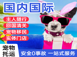 昌北航空运输国际宠物托运 【国